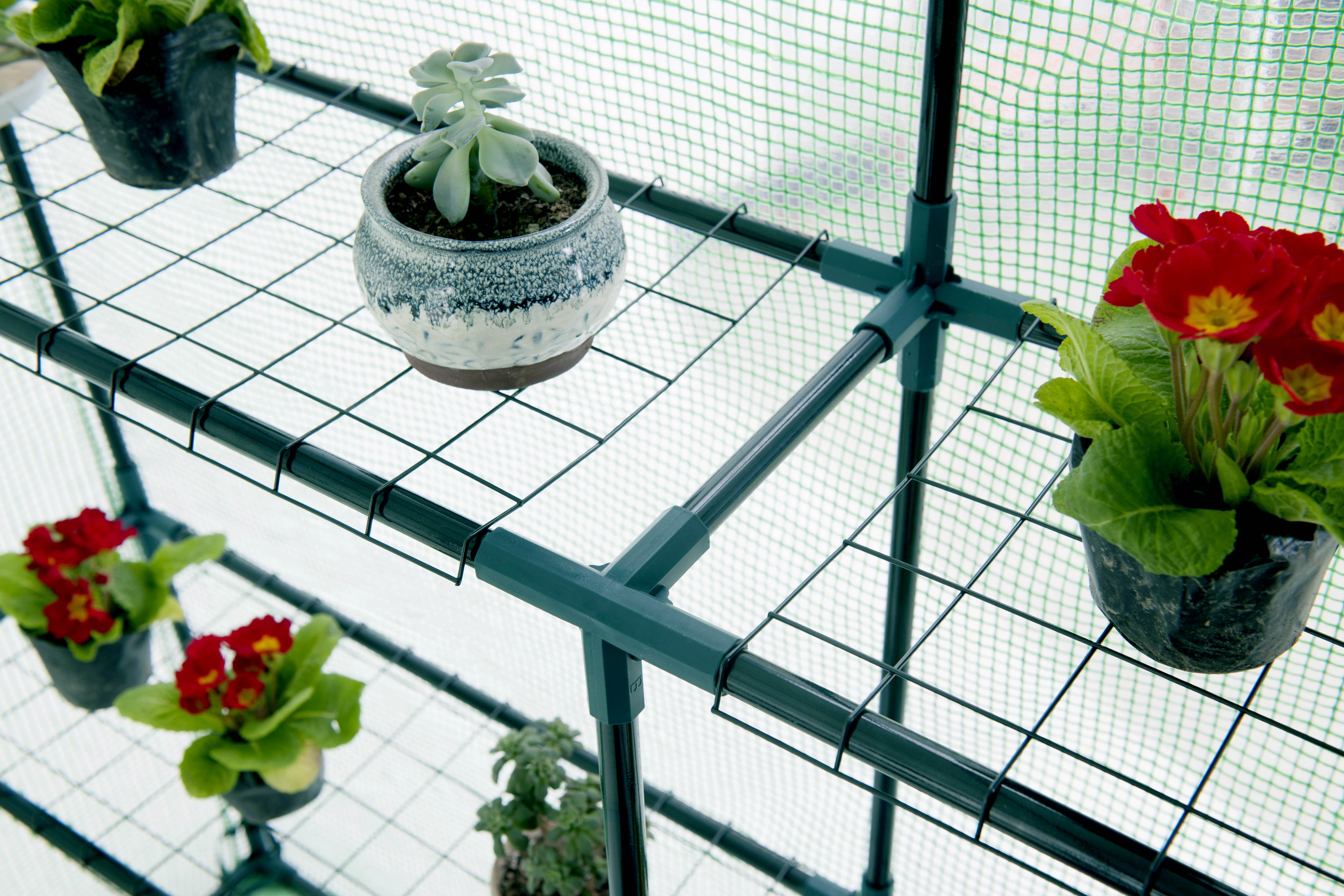 Portable Green House Mini Walk In Greenhouse Outdoor