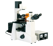 XDY-1 Inverted & Reflected Fluorescence Microscopes