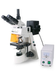 XYL-146YA Fluorescent Microscope With Infinity Objective
