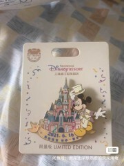 X0606051DISNEY PINS