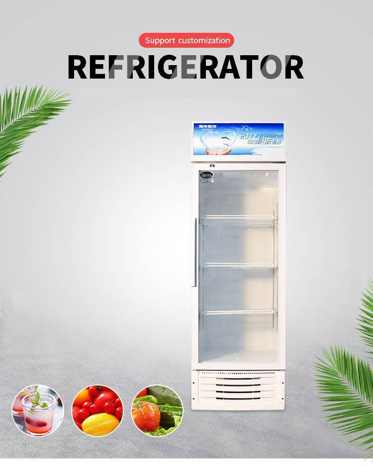 Pepsi beverage refrigerator with Glass door commercial beverage freezer refrigeration equipment