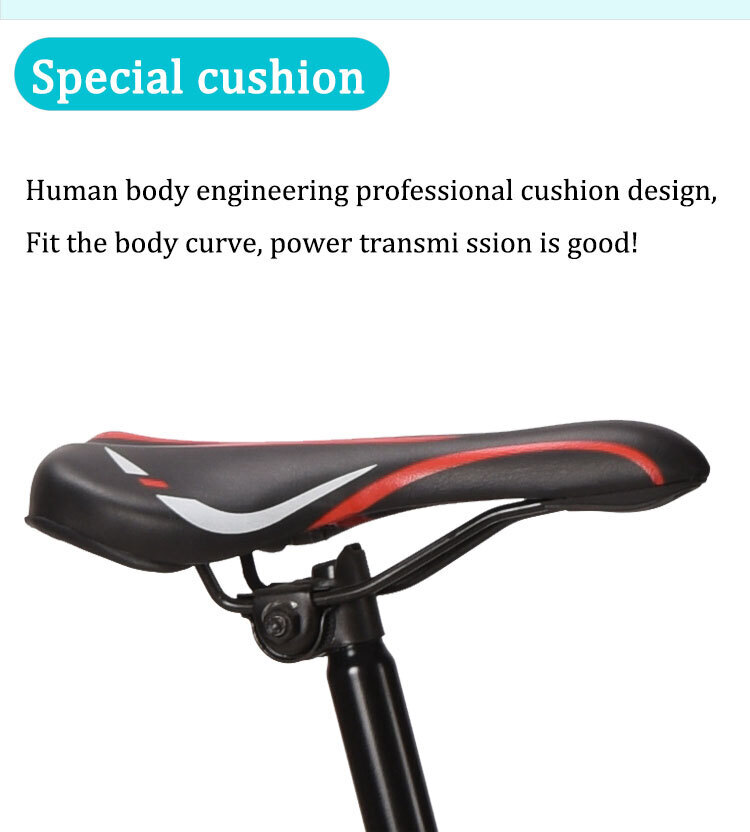 KAYRIDE adult mens cheap 24 26 inch 29 inch 27 speed bicycle high quality specialised road bike folding mountain bike