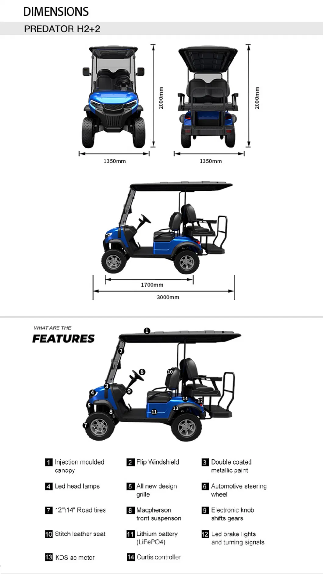 Hunting 2+2 Seats Wholesale Customized Predator H2+2 Golf Buggy New Version