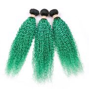 #T 1B/Light Green Kinky Curly Two Tone Hair Bundles Remy Human Hair Weft XTHW-54
