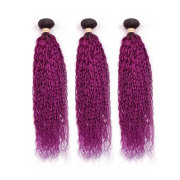 #T 1B/Purple Kinky Curly Two Tone Hair Bundles Remy Human Hair Weft XTHW-204