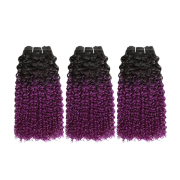#T 1B/Purple Kinky Curly Two Tone Hair Bundles Remy Human Hair Weft XTHW-282