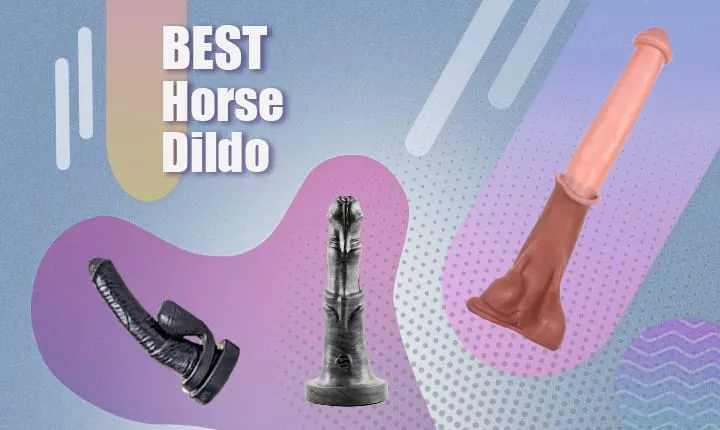 The Ultimate 2022 Best Horse Dildo Guide