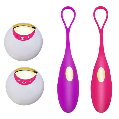 Silicone Remote Control Bullet Vibrator Purple