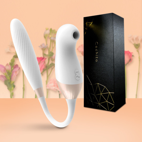 2 IN 1 New 10 Pulsating Modes Clitoris Stimulator