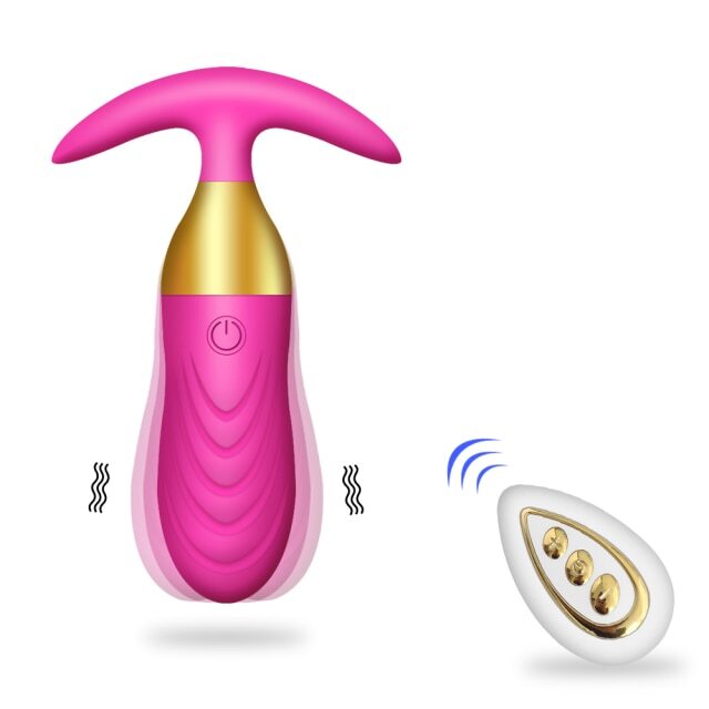 wifi anal plug Cost-Effectiveness Analysis of Transanal Irrigation for Managing Neurogenic  Bowel Dysfunction in Japan main image 1