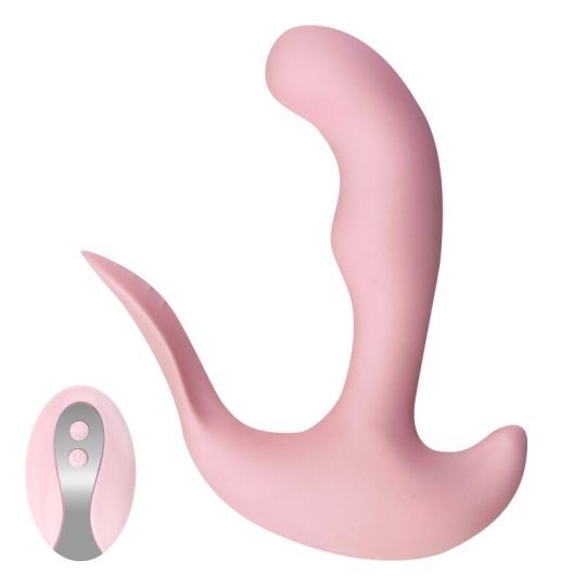 10 Speed Heating Remote Control Prostate Massager Anal Vibrator