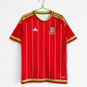 2015/16 wales home Retro soccer jersey
