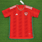 2022 World Cup Wales Home soccer Jersey