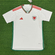 2022 World Cup Wales away soccer Jersey