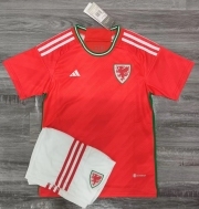 kids - 2022 World Cup Wales Home soccer Jersey