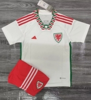 kids - 2022 World Cup Wales away soccer Jersey