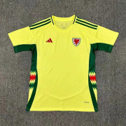 2024 World Cup Wales away soccer Jersey