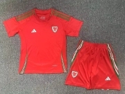 kids - 2024 Wales Home soccer Jersey
