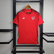 2024 World Cup Wales Home soccer Jersey