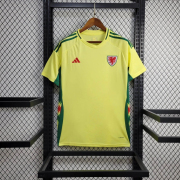 2024 World Cup Wales away soccer Jersey