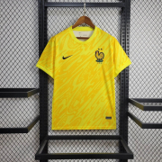 2024/25 France yellow Goalkeeper soccer Jersey
