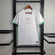 2024/25 Nigeria home soccer Jersey