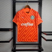 2024/25 Palmeiras Orange goalkeeper soccer Jersey