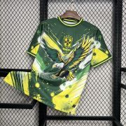 2024/25 Brazil Special Eagle soccer Jersey