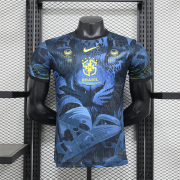2024/25 Brazil Special edition Player version soccer jersey