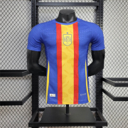 2024/25 Spain Special edition player soccer Jersey