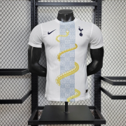2025/26 Tottenham Hotspur Special edition Player version soccer jersey