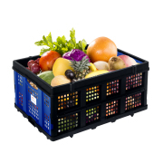 LEADALLWAY 50L Collapsible Plastic Storage Basket Hand Trucks Foldable Storage Bin Organizer 110LBS,1Pack