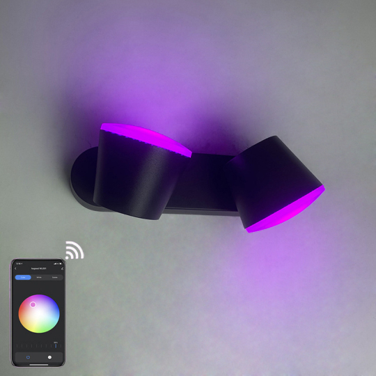 10W Smart LED Outdoor Wall Light Fixture Stepless Dimmable RGBW APP Control Rotate Lamp Style # C03202