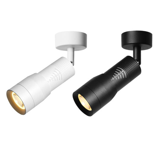 COB LED Wall Lamp Beam Angle Zoomable Ceiling Light Fixture Picture Spotlight Style # G01125