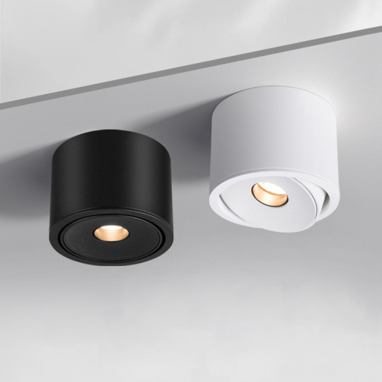 2Pcs LED COB Mini Spotlight Narrow Beam Angle Ceiling Lamp High CRI Light Fixture Style # A2018