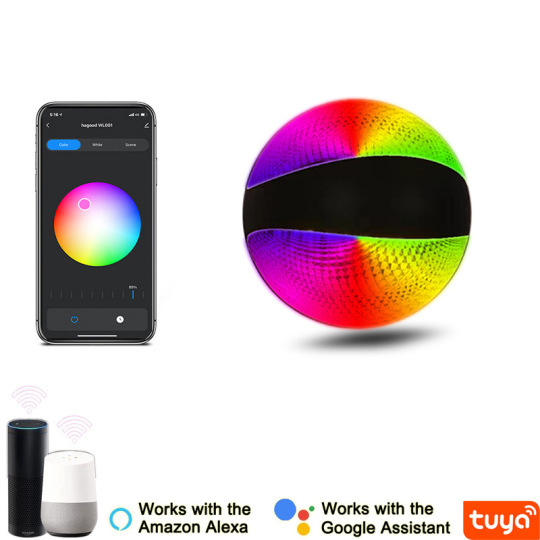 10W Smart LED Outdoor Wall Lanterns Lamp Fixture APP Control Multicoloured Stepless Dimmable Light Style # C03234