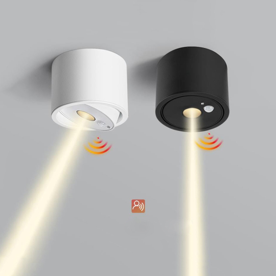 7W COB LED Motion Sensor Ceiling Light Fixture Mini Spotlight Adjustable Picture Lamp Style # A2247