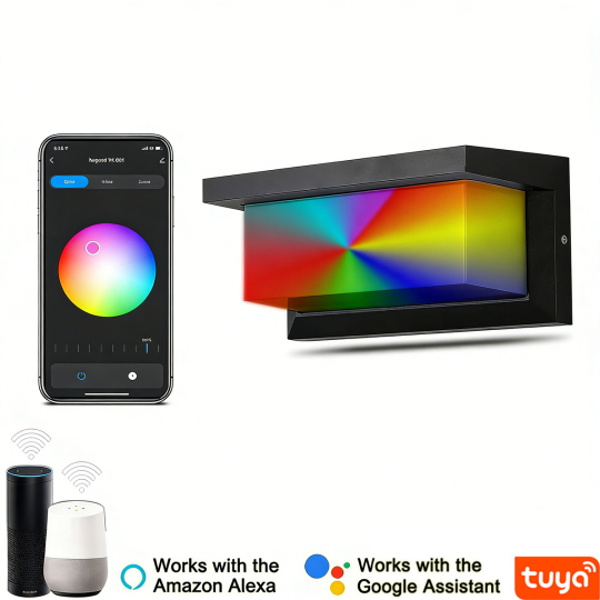 Smart Outdoor/Indoor Wall Light