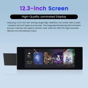 12.3" Co-pilot Entertainment Screen For Chery ICAR-03 2024 CarPlay Android System Car GPS Navigation Multimedia Player