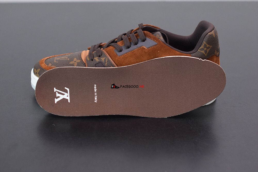Louis Vuitton Monogram Brown LV Trainer sneaker