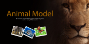 Animal Model