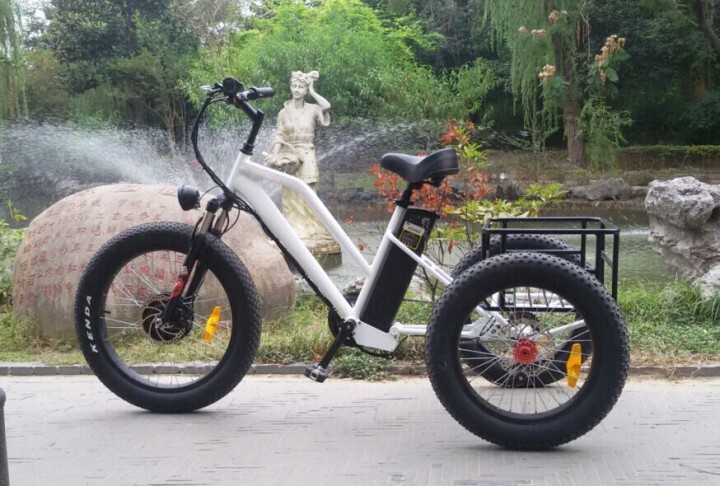 fat tire electric cargo bike