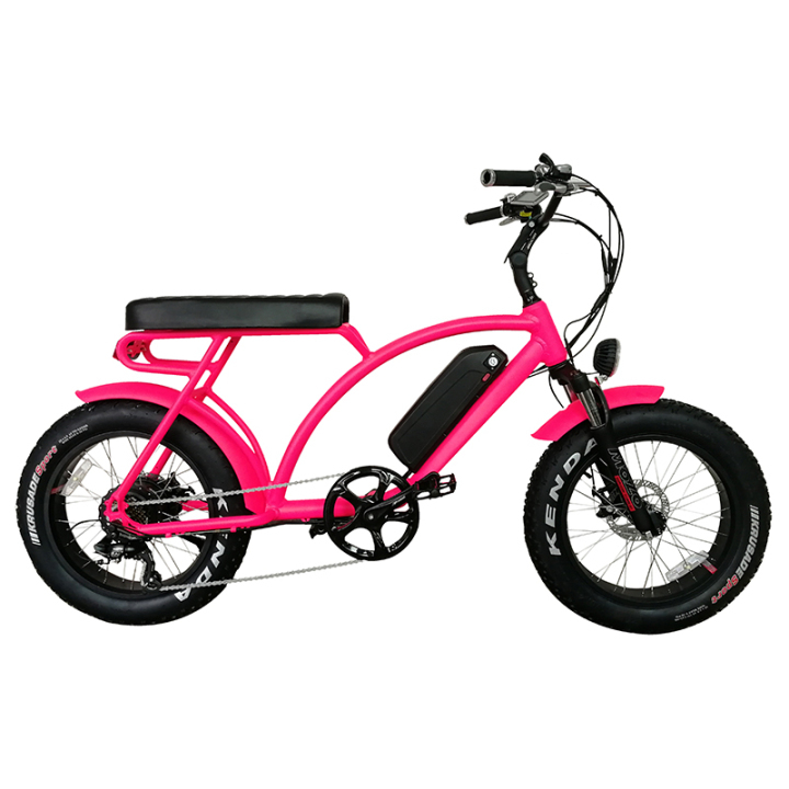 color lcd display lithium battery powered pedal assisted electric bike