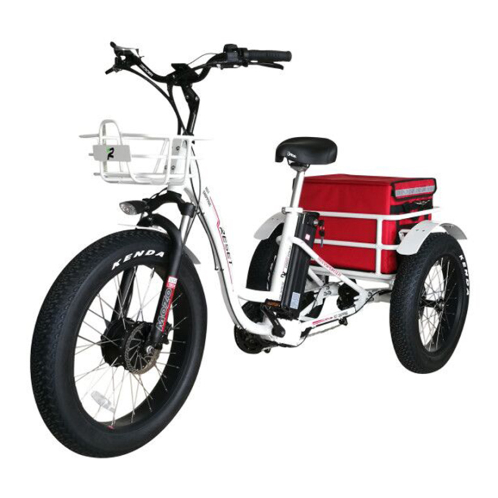 fat tire cargo trike