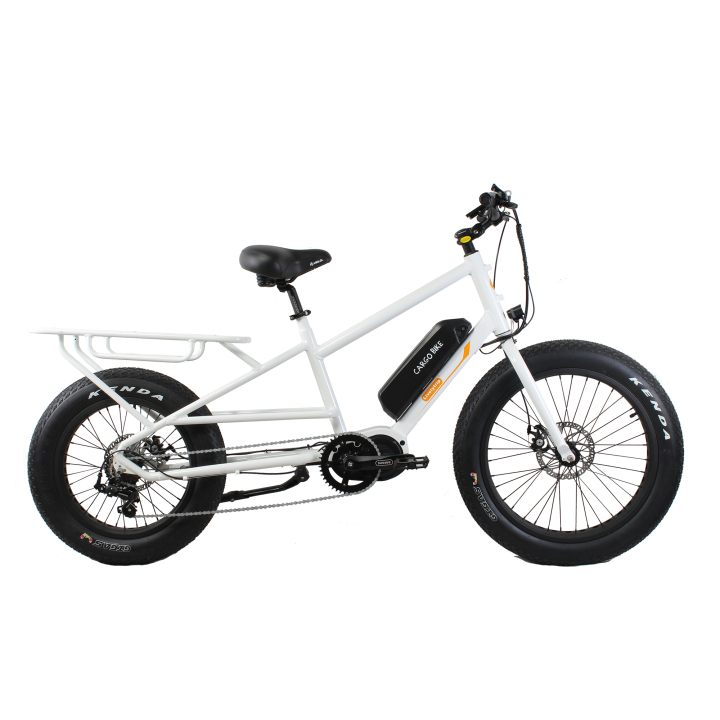 Bafang Ultra 1000W mid drive fat tire delivery cargo electric bicycle