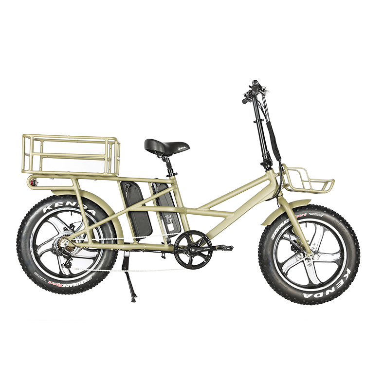 two wheel drive electric bicycle