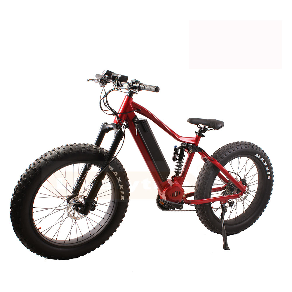 26_inch_frame_hidden_battery_a