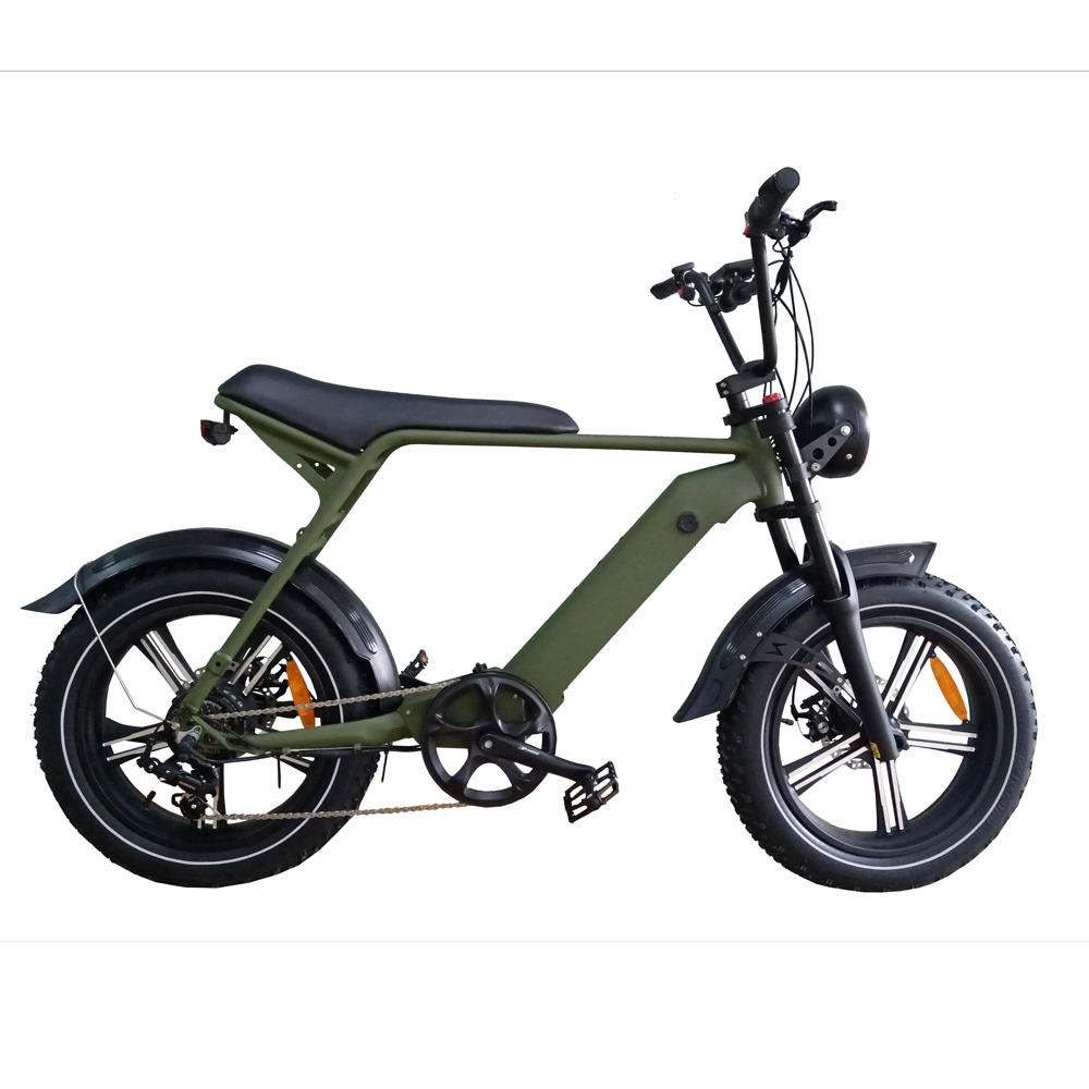 Ooit Circus Vouwen 20 inch E 73 two seat 52v 14Ah 750w super power fat tire electric bike