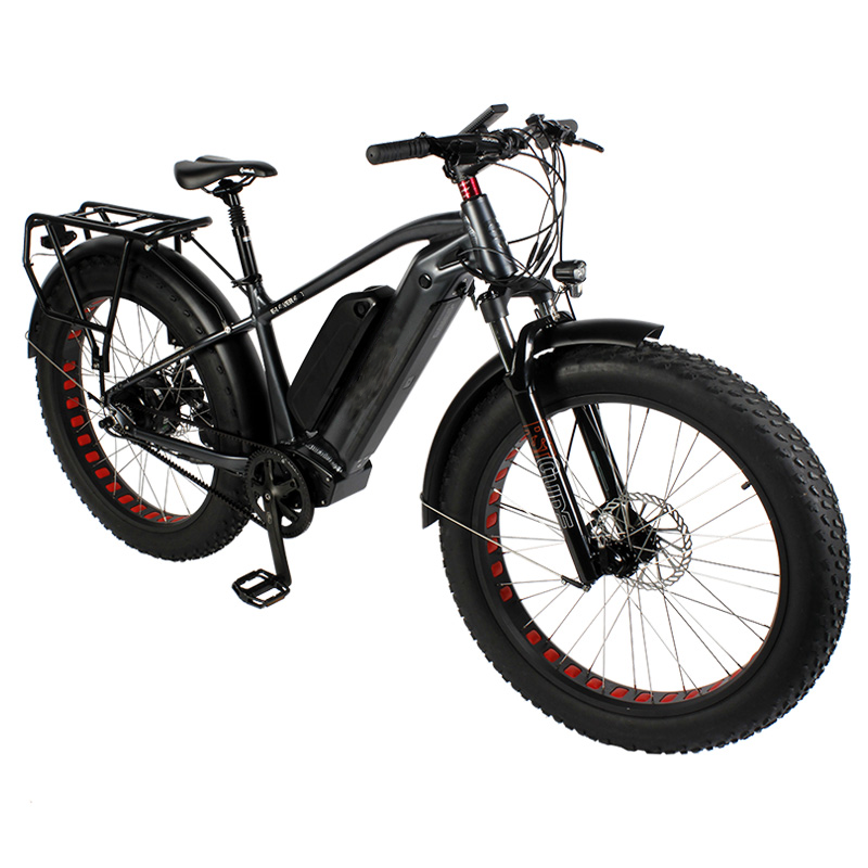 Gates belt electric bike discount
