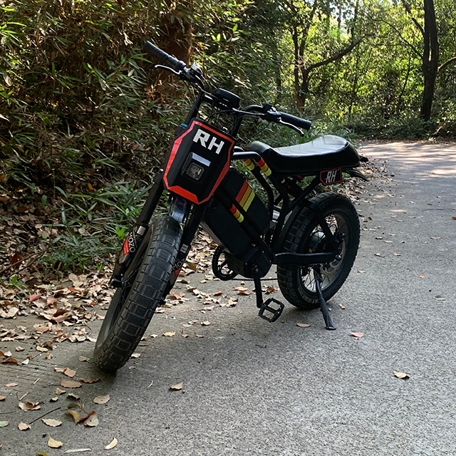 electric bicycle massachusetts Meet the Ebike